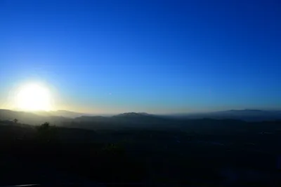 DSC_1153 (Large).JPG